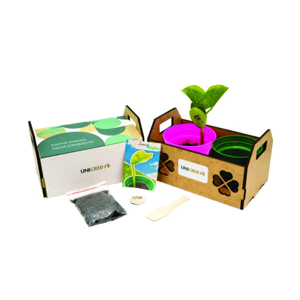 Kit Plantio Horta Personalizado Kit Plantio Horta Personalizado